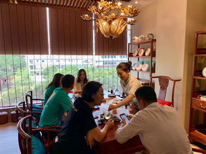 燕語茶館品鑒中心試業 以茶會友，共赴一場東方美學的時光之約